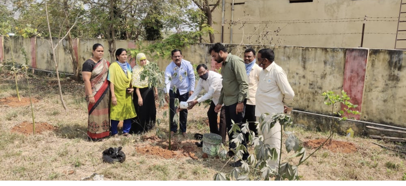 Plant saplings at Head Office/Warehouses on the occasion of Honble C.M. Sri K Chandrashekar Rao Gar